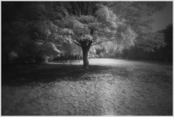 dailyPhoto37